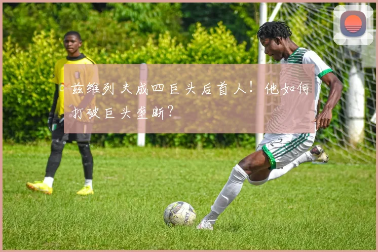 兹维列夫成四巨头后首人！他如何打破巨头垄断？