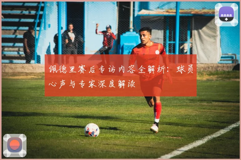 佩德里赛后专访内容全解析：球员心声与专家深度解读